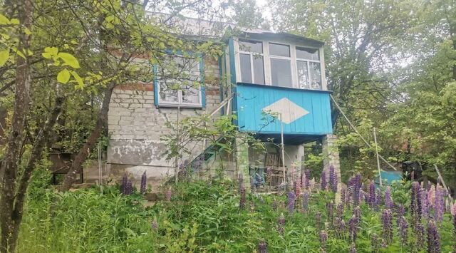 снт Витаминщик Беломестненское с/пос фото