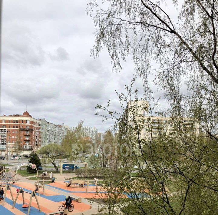 квартира г Санкт-Петербург метро Озерки пр-кт Луначарского 1к/2 фото 16