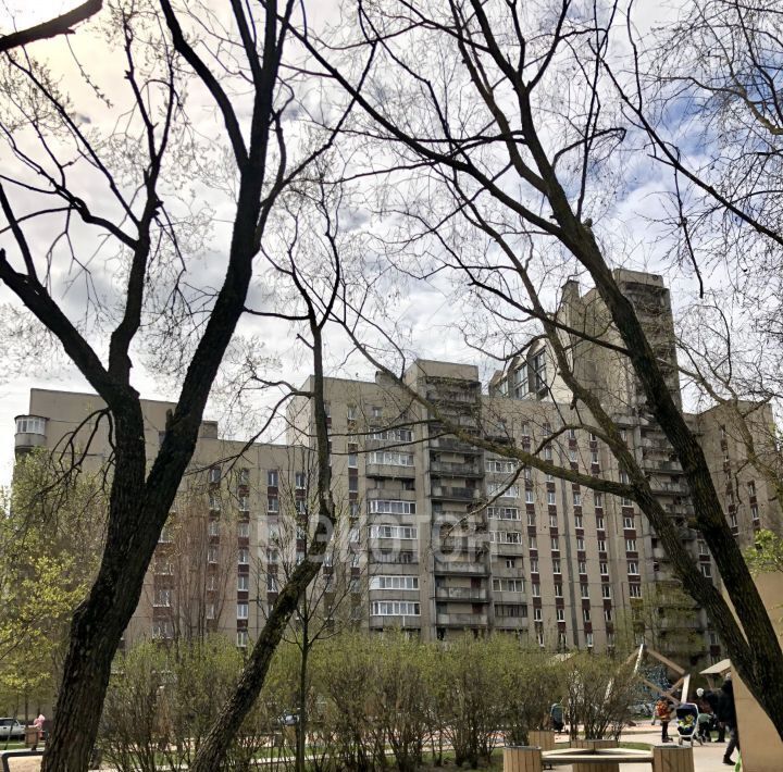 квартира г Санкт-Петербург метро Озерки пр-кт Луначарского 1к/2 фото 17