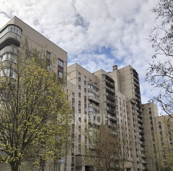 квартира г Санкт-Петербург метро Озерки пр-кт Луначарского 1к/2 фото 18