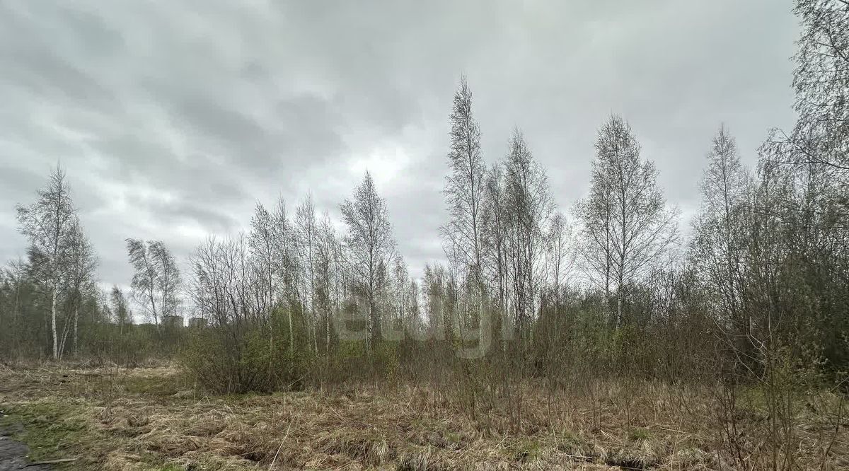 земля г Ярославль р-н Красноперекопский пер 3-й Льняной фото 4