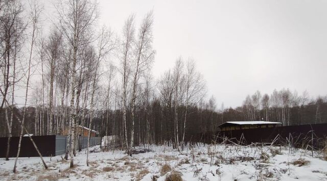 городской округ Серпухов д Коптево 12 фото