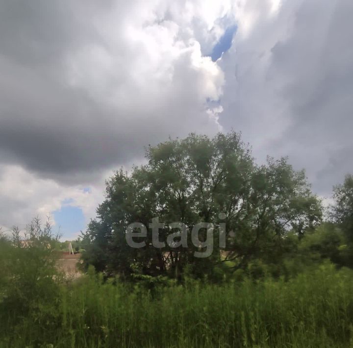 земля г Благовещенск с Садовое фото 1