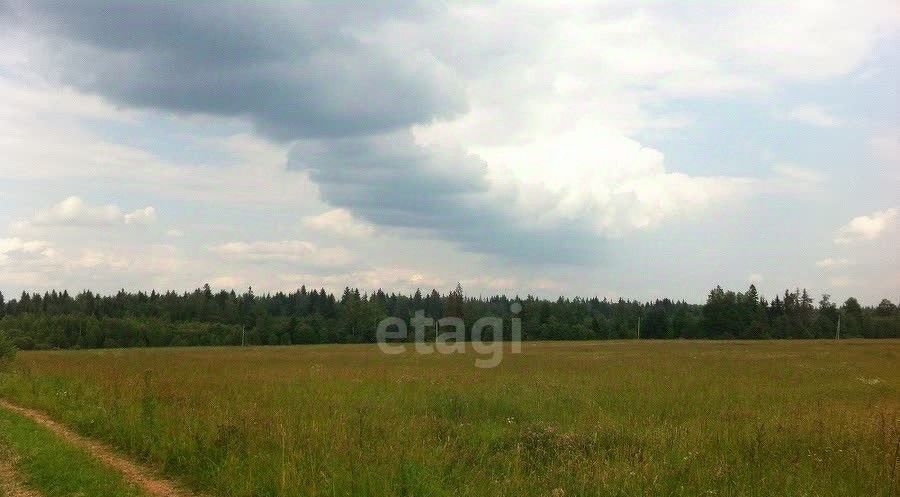земля г Благовещенск тер Лотос Благовещенский район фото 4