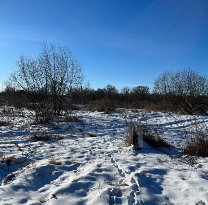 земля г Благовещенск тер Луч Благовещенский район фото 4