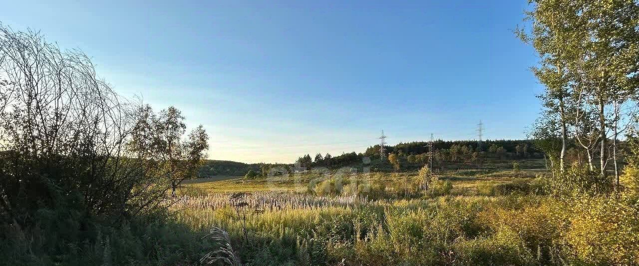 земля г Благовещенск фото 5