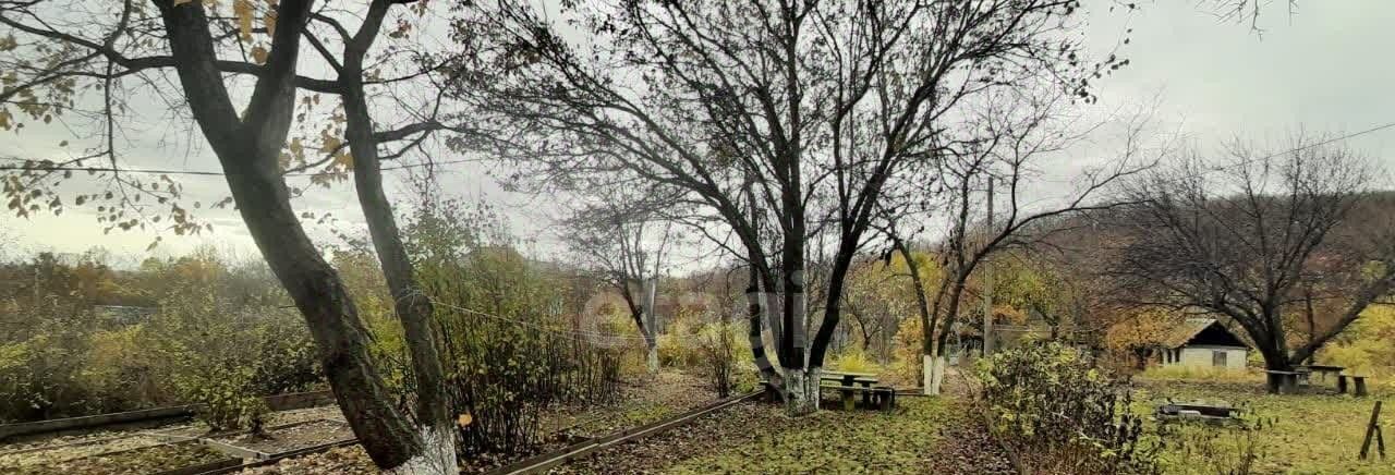 земля г Благовещенск фото 11