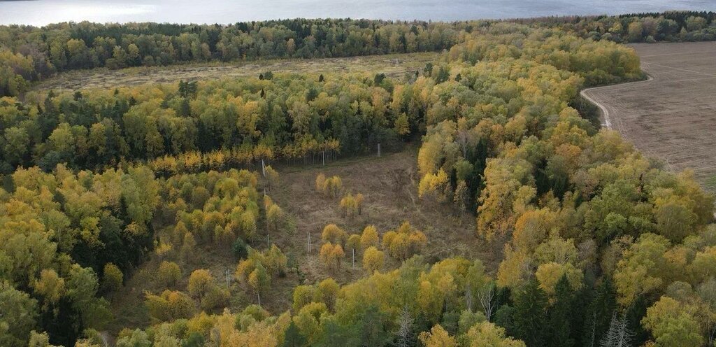 земля г Пушкино коттеджный посёлок Стихи, 1 фото 8