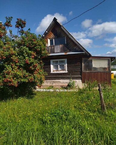 снт Лудзинка-2 Ижевск фото