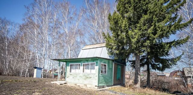 снт ВЕГА сельсовет, Искитимский район, Совхозный фото
