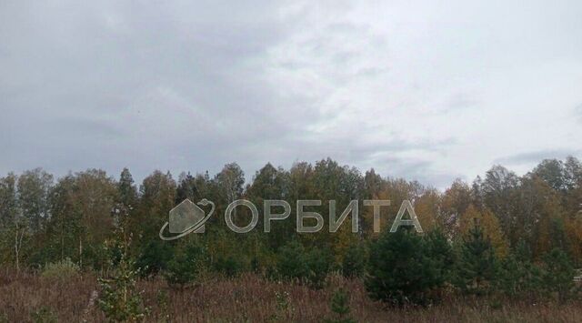 Новокаменский кп фото
