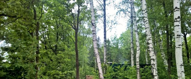 земля Нахабино, 1/1 фото