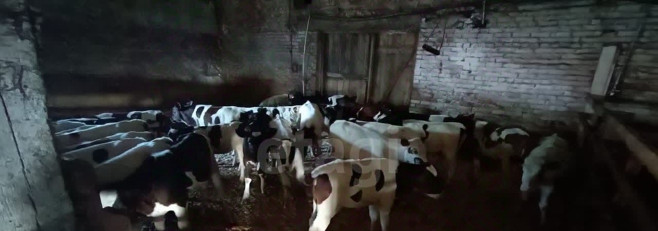 офис р-н Княжпогостский г Емва пер Хвойный фото 7