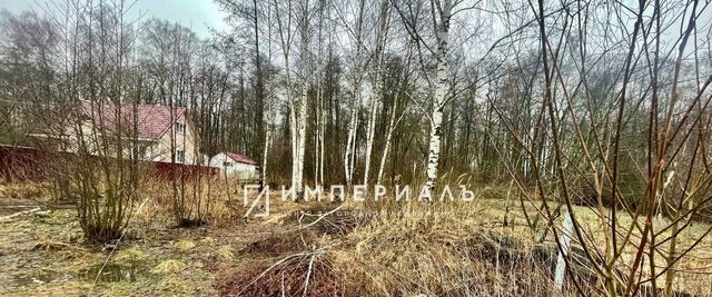 снт Лесная Поляна фото