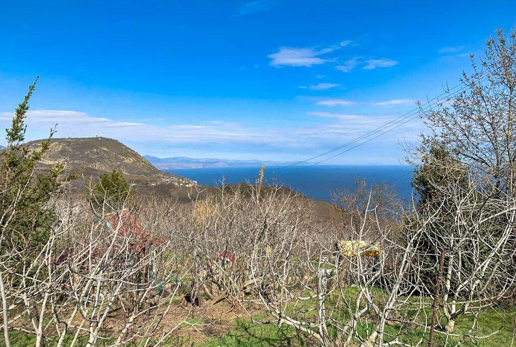 земля г Алушта с Запрудное фото 6