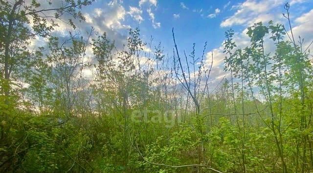 снт Нефтяник фото