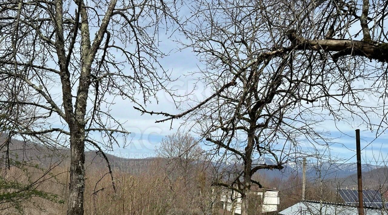 земля г Сочи с Пластунка ул. Джапаридзе фото 7