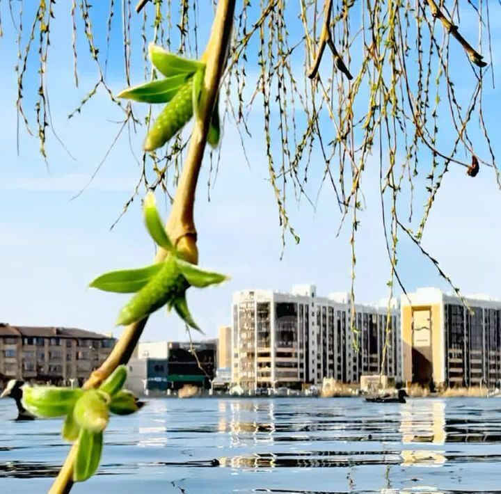квартира г Горячий Ключ ул Рябиновая 2бк/1 фото 15