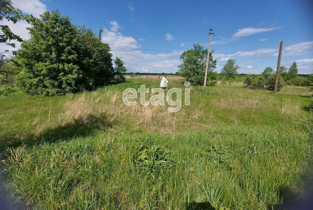 земля г Муром фото 6