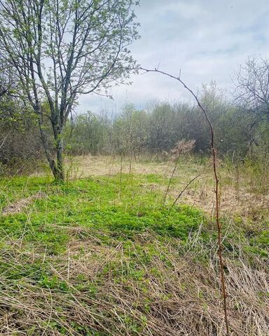 ул Советская 18 Колобовское городское поселение, Колобово фото