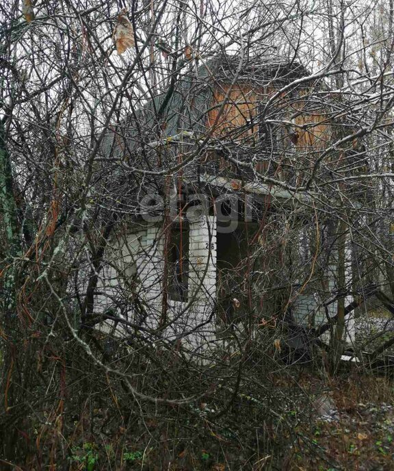 земля г Выкса ул Металлургов фото 3