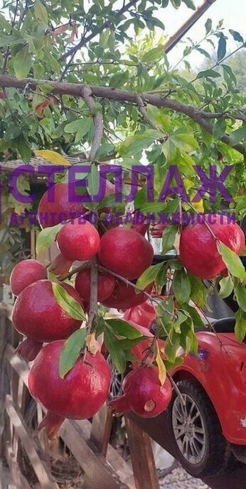 дом г Феодосия ул Ленина фото 25