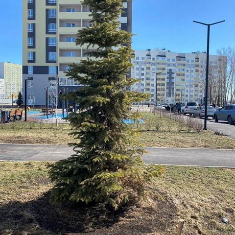 с Николаевка сельское поселение Черноречье, улица Татищева, 2, Самара фото