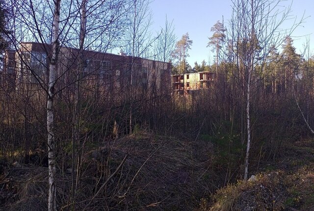 ул Мужества Ладожская фото