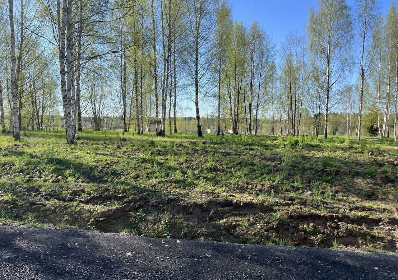 земля городской округ Сергиево-Посадский г Краснозаводск 70 км, территория Шубино-Яркое, Озарённая ул, Ярославское шоссе фото 13