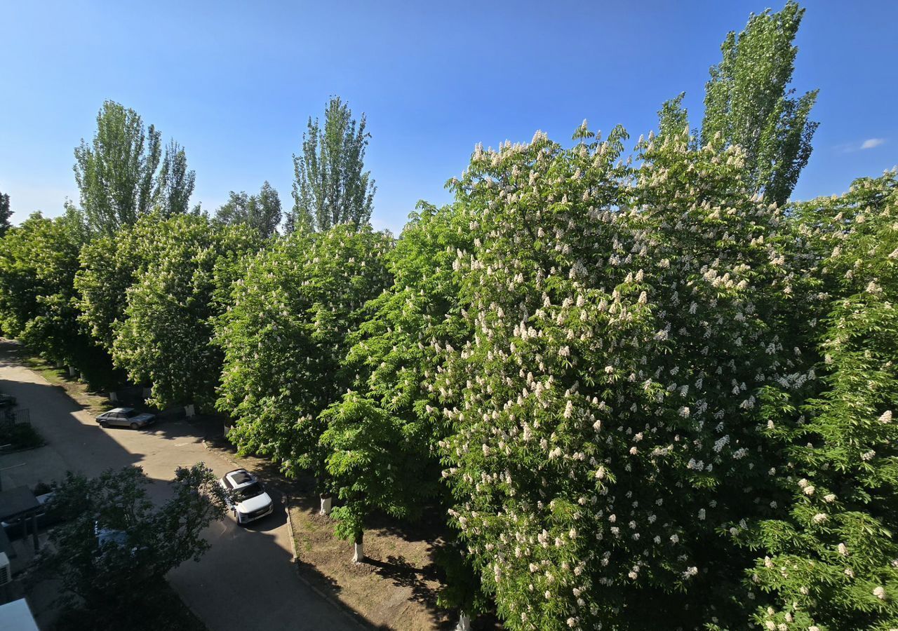 квартира г Таганрог Восточный Дубки ул Пальмиро Тольятти 22/3 фото 10