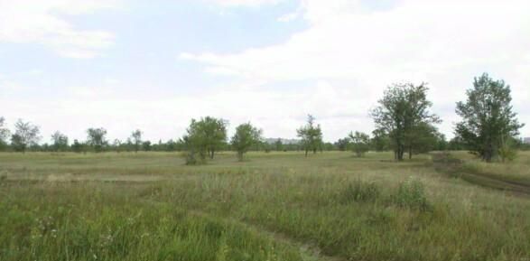 земля г Тольятти р-н Автозаводский ш Южное фото 2
