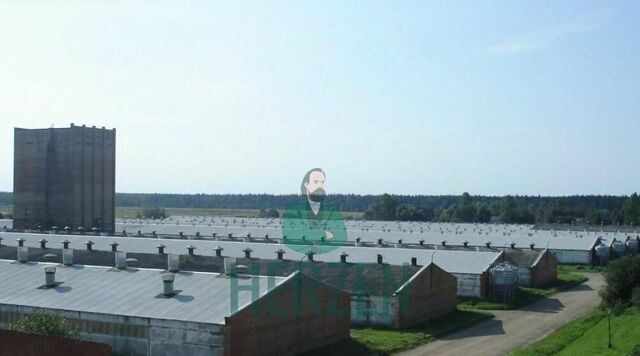 ТиНАО фото
