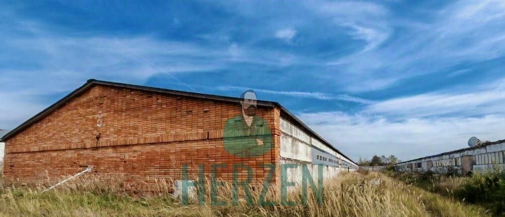 производственные, складские г Москва п Новофедоровское д Кузнецово Апрелевка фото 10