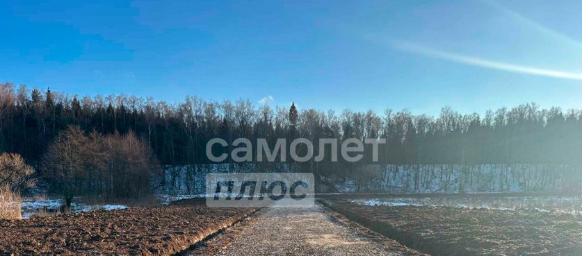 земля г Подольск д Пузиково Подольск фото 4