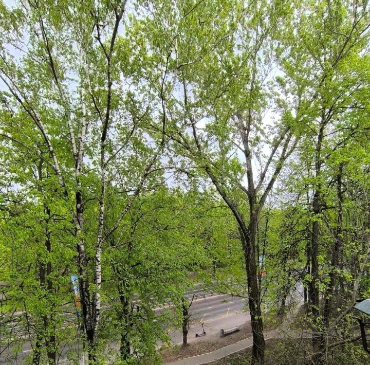 квартира г Химки ул 9 Мая 2 фото 21