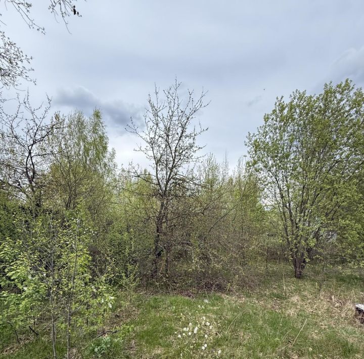 земля г Владимир мкр Мостострой сад Связист р-н Октябрьский фото 8