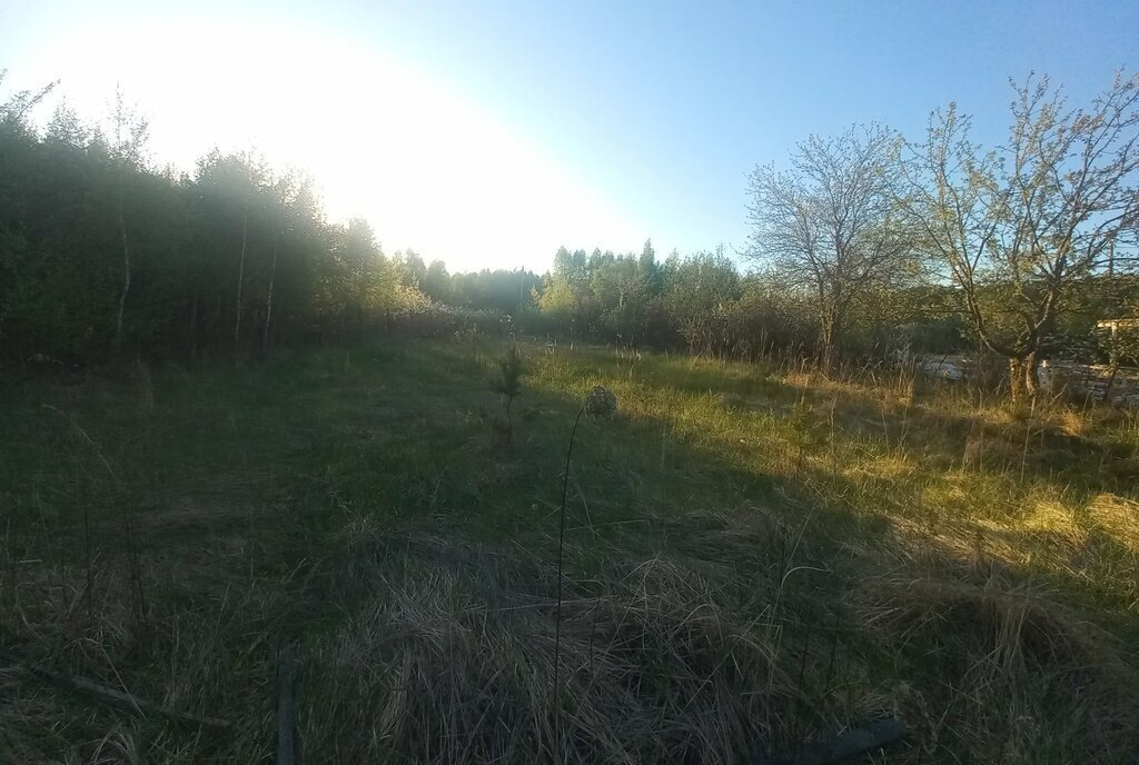земля г Волжск сад Луговое фото 4