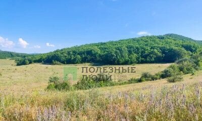 земля г Севастополь с Верхнесадовое р-н Нахимовский Верхнесадовский муниципальный округ, Крым фото 1
