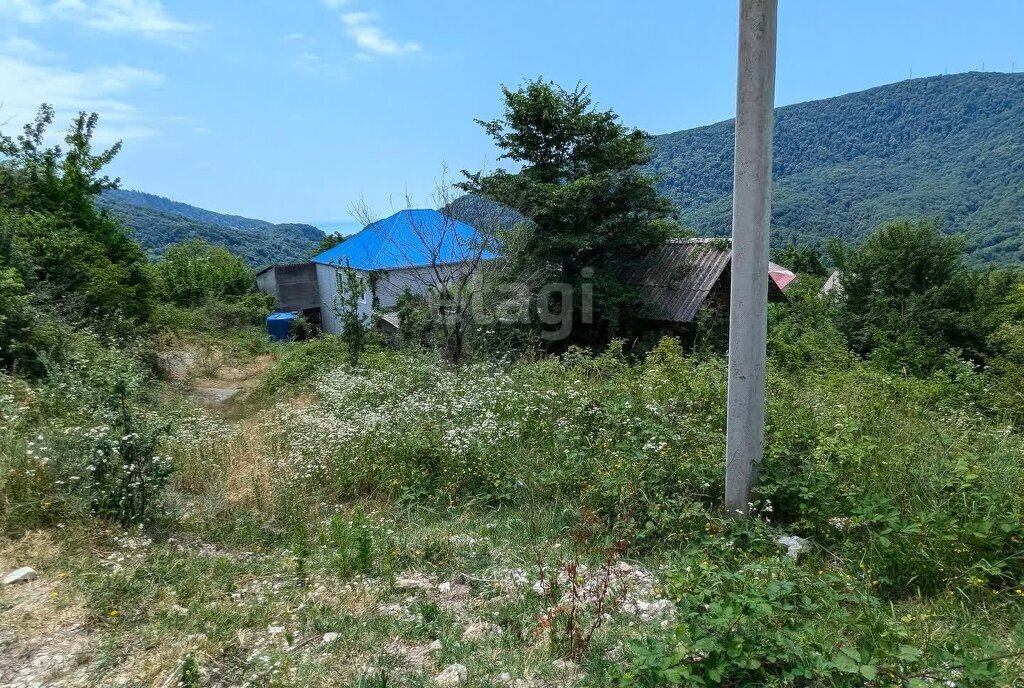 земля г Сочи с Илларионовка р-н Адлерский с Хлебороб снт Рассвет фото 7