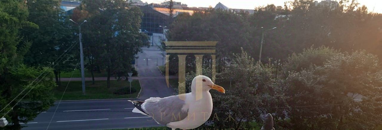 квартира г Санкт-Петербург метро Приморская ул Наличная 11 округ Гавань фото 14