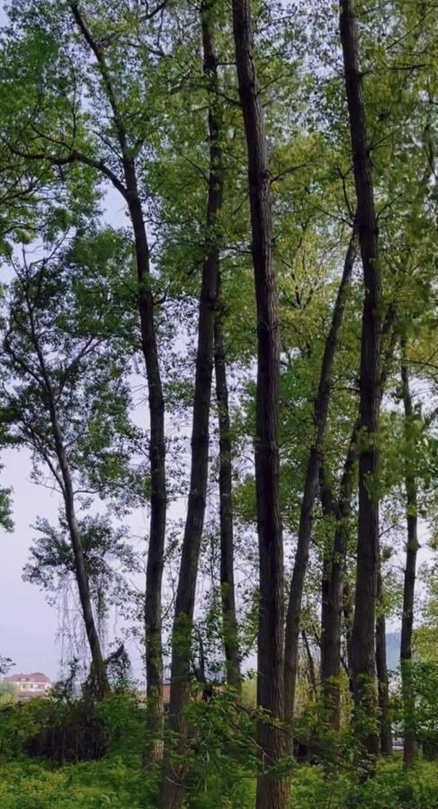 квартира г Махачкала р-н Кировский Благородная ул., 13 фото 6