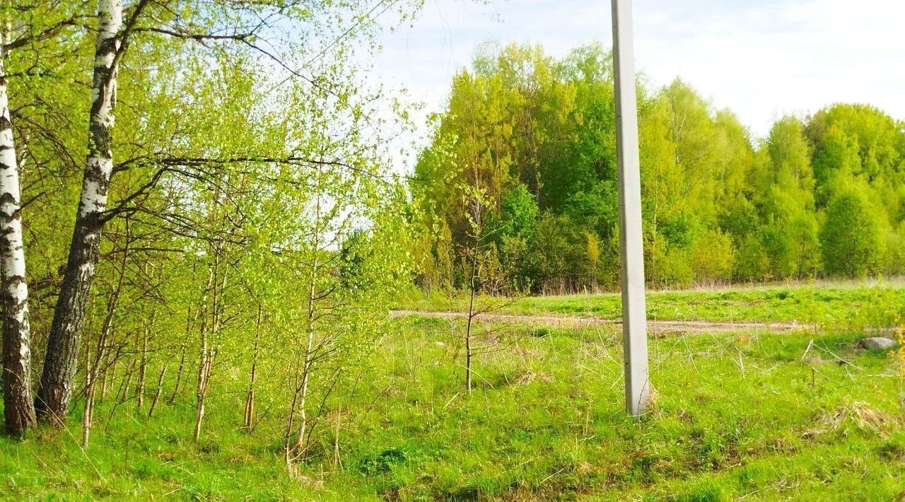 земля г Калуга д Лихун посёлок Молодёжный ул Молодёжная фото 1