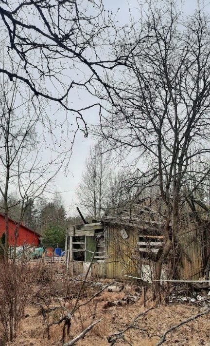 офис г Зеленогорск Курортный ул Мира 1а фото 4