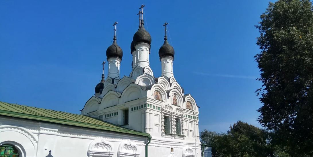 земля г Домодедово мкр Белые Столбы проезд Кировский 29 км, Новокаширское шоссе фото 8