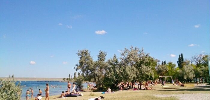 земля г Евпатория пгт Новоозерное снт Родники фото 8
