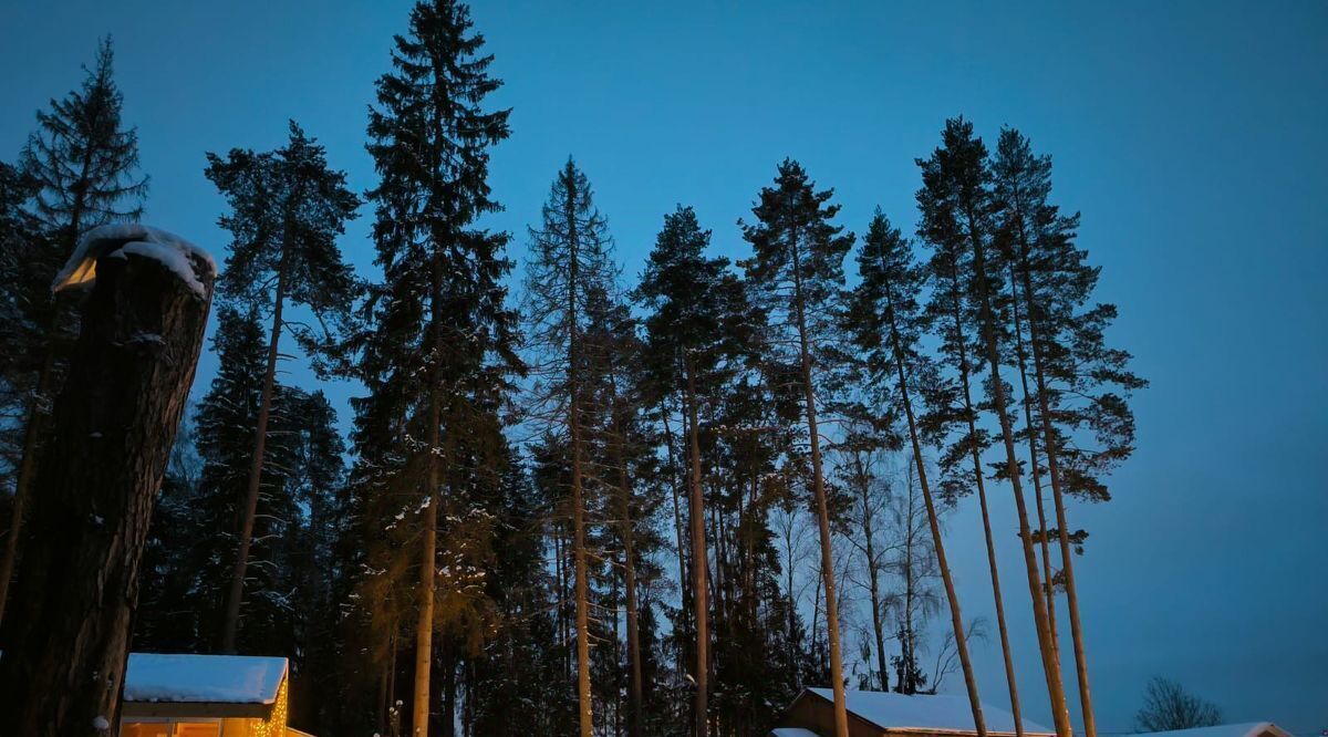 дом г Солнечногорск Семейный Некст кв-л, 2 фото 36