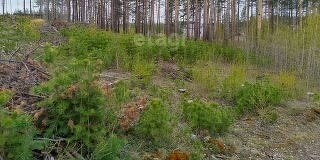 земля г Кыштым ул Ясная фото 4