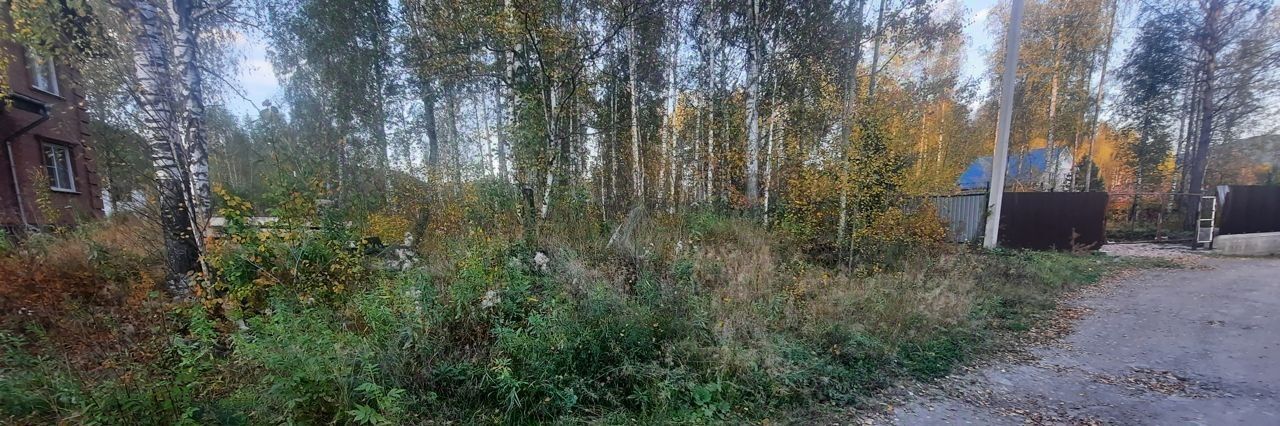 земля г Дивногорск п Манский пер Веселый фото 1