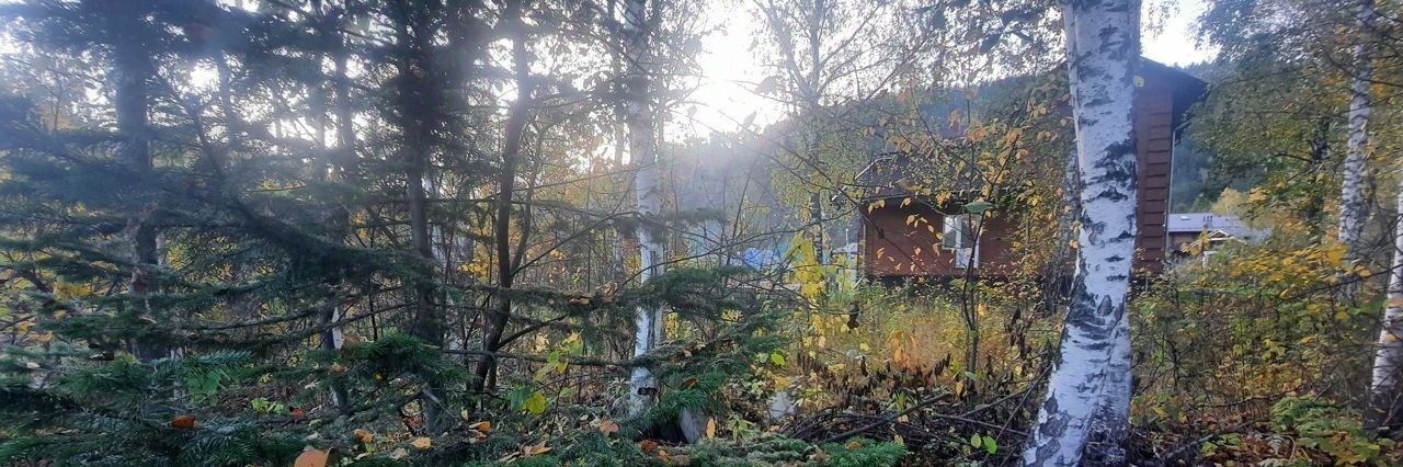 земля г Дивногорск п Манский пер Веселый фото 7