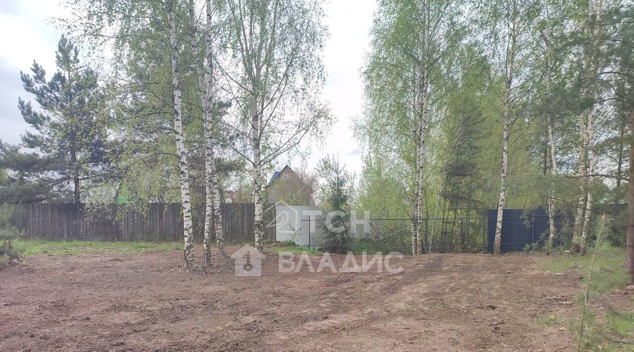 земля городской округ Богородский г Ногинск снт Солнышко ул Центральная Электроугли фото 9